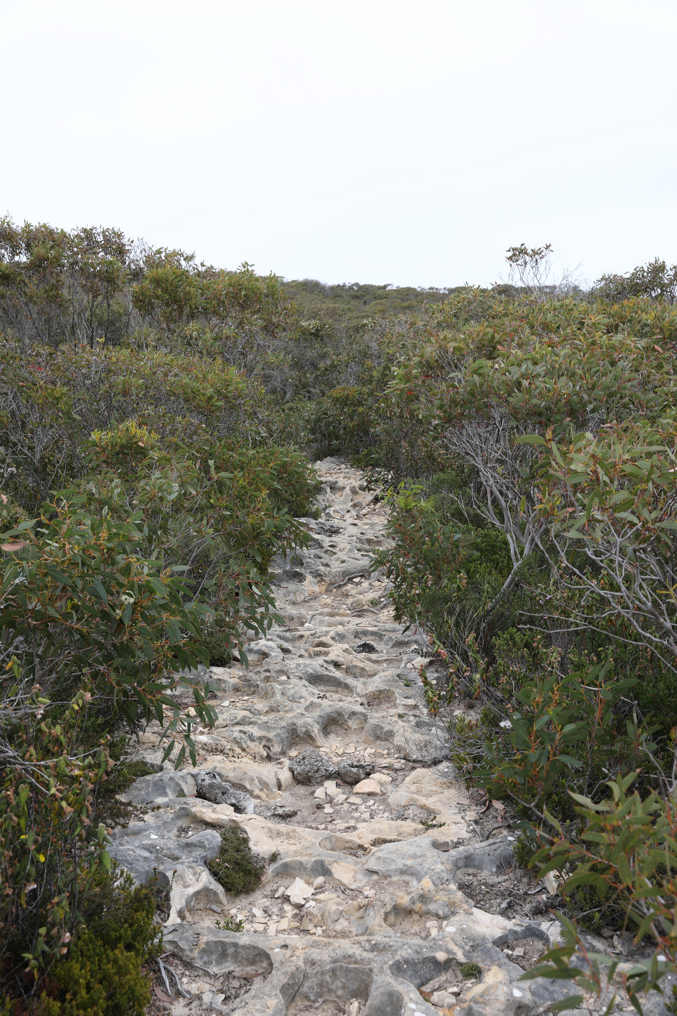 2019 10 02 12 21 29 Canon EOS 5D Mark IV 0018